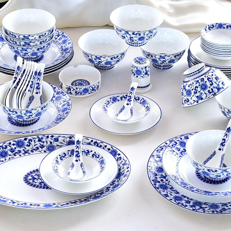 50-piece Blue and White Dinnerware Present Suit