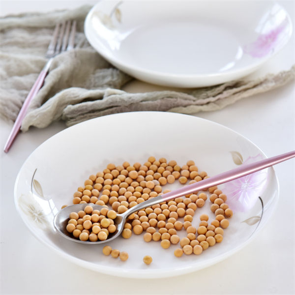 8 Inch Bone China Meal Plate 1