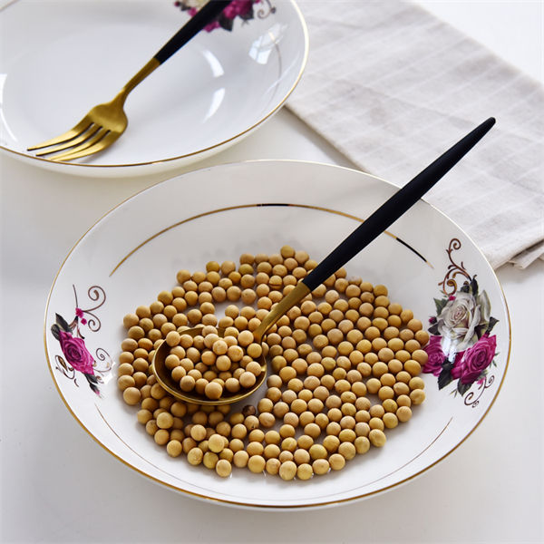 8 Inch Bone China Meal Plate 2