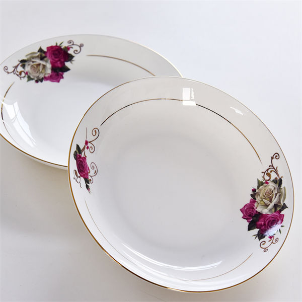 8 Inch Bone China Meal Plate 2