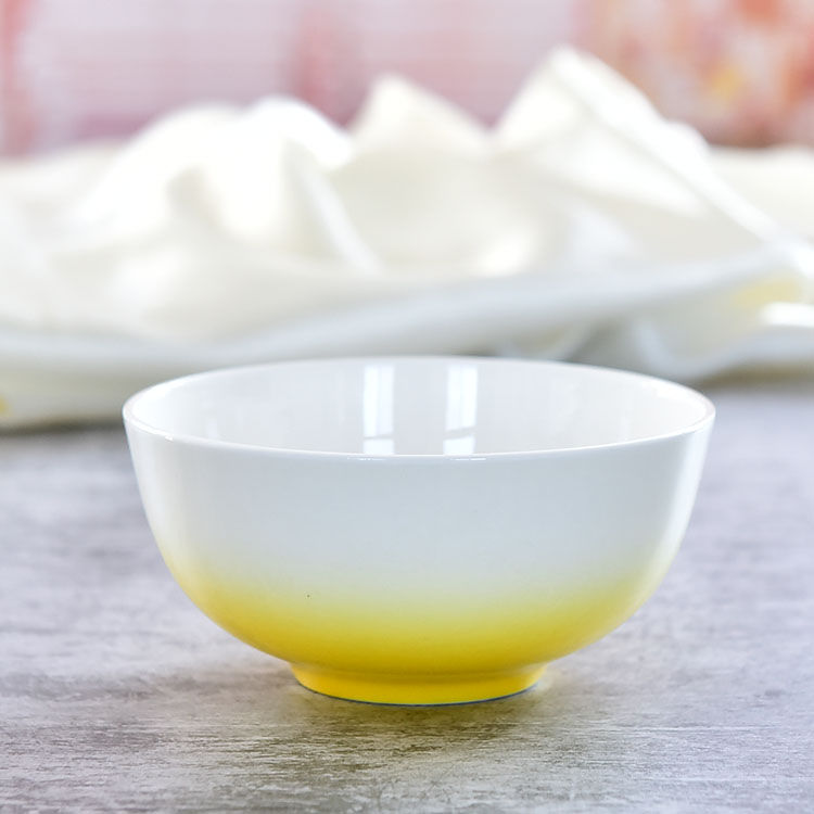 Bone China Gradient Ao Bowl
