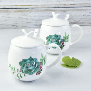 Succulent Alliance Rabbit Ear Porcelain Belly Cup
