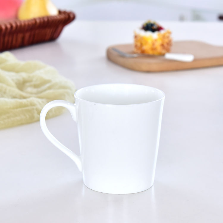 Succulent Plant Porcelain Mug
