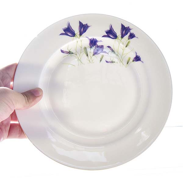 Morning Glory 8 Inch Porcelain Plate