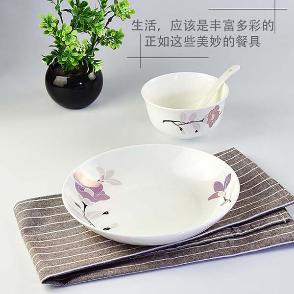 Porcelain Bowl Plate Spoon Dinnerware